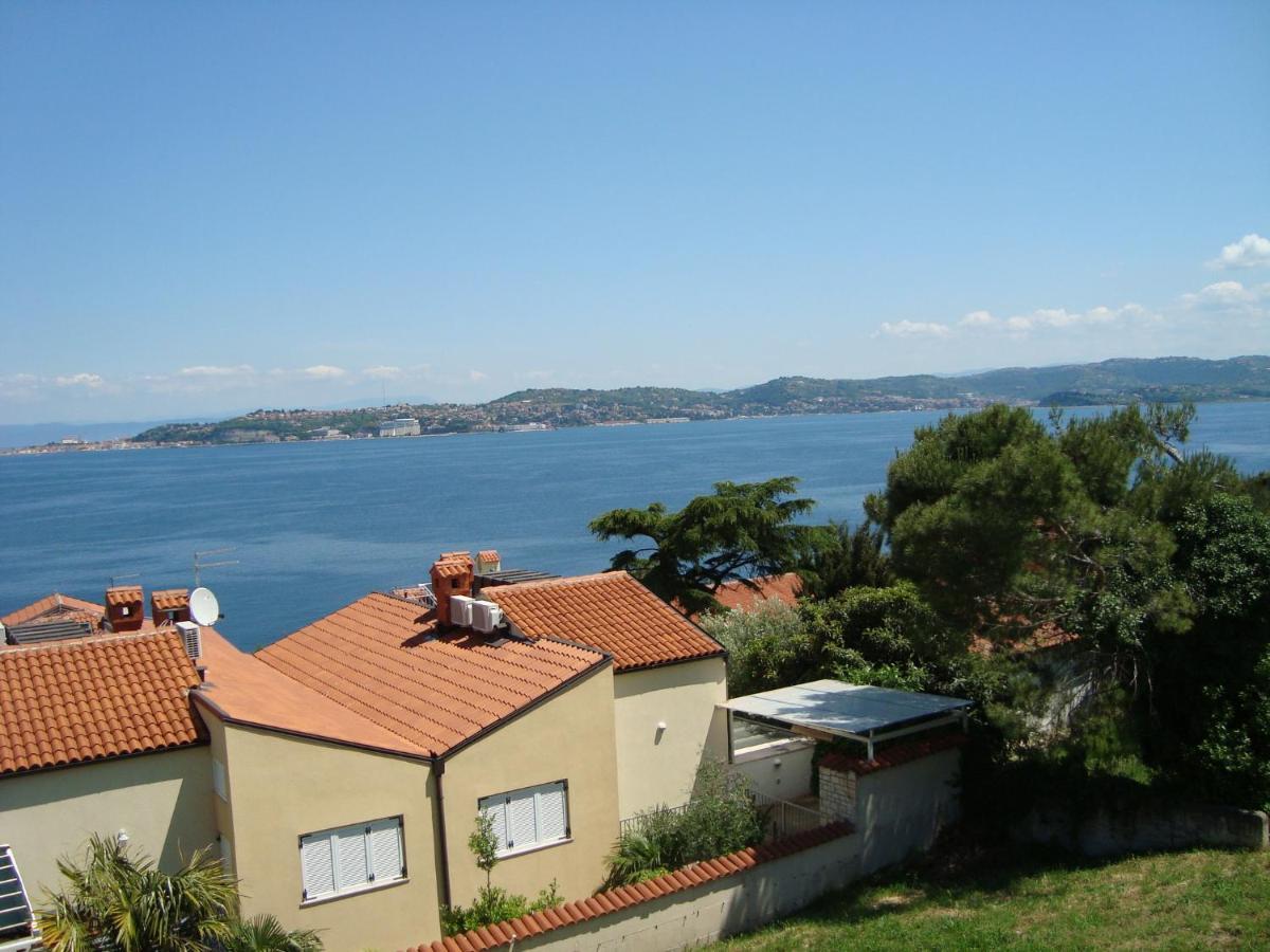 Apartman Carmen Crveni Vrh Dış mekan fotoğraf